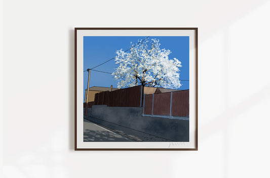 BLOSSOM FENCE