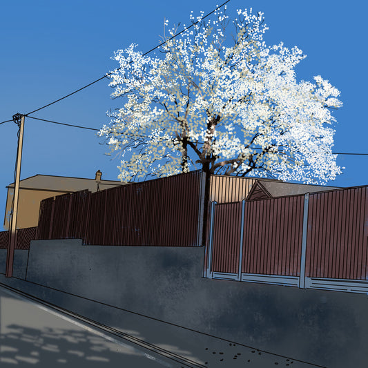 BLOSSOM FENCE