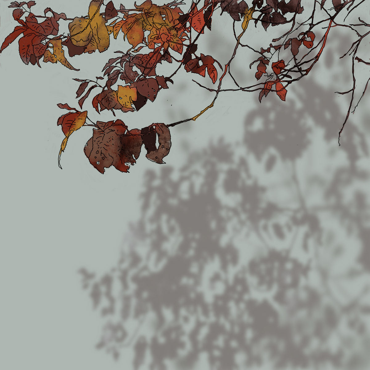 DROP SHADOW