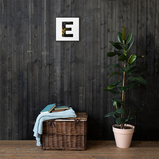 'BLACK E' Canvas