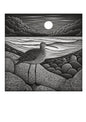 CURLEW