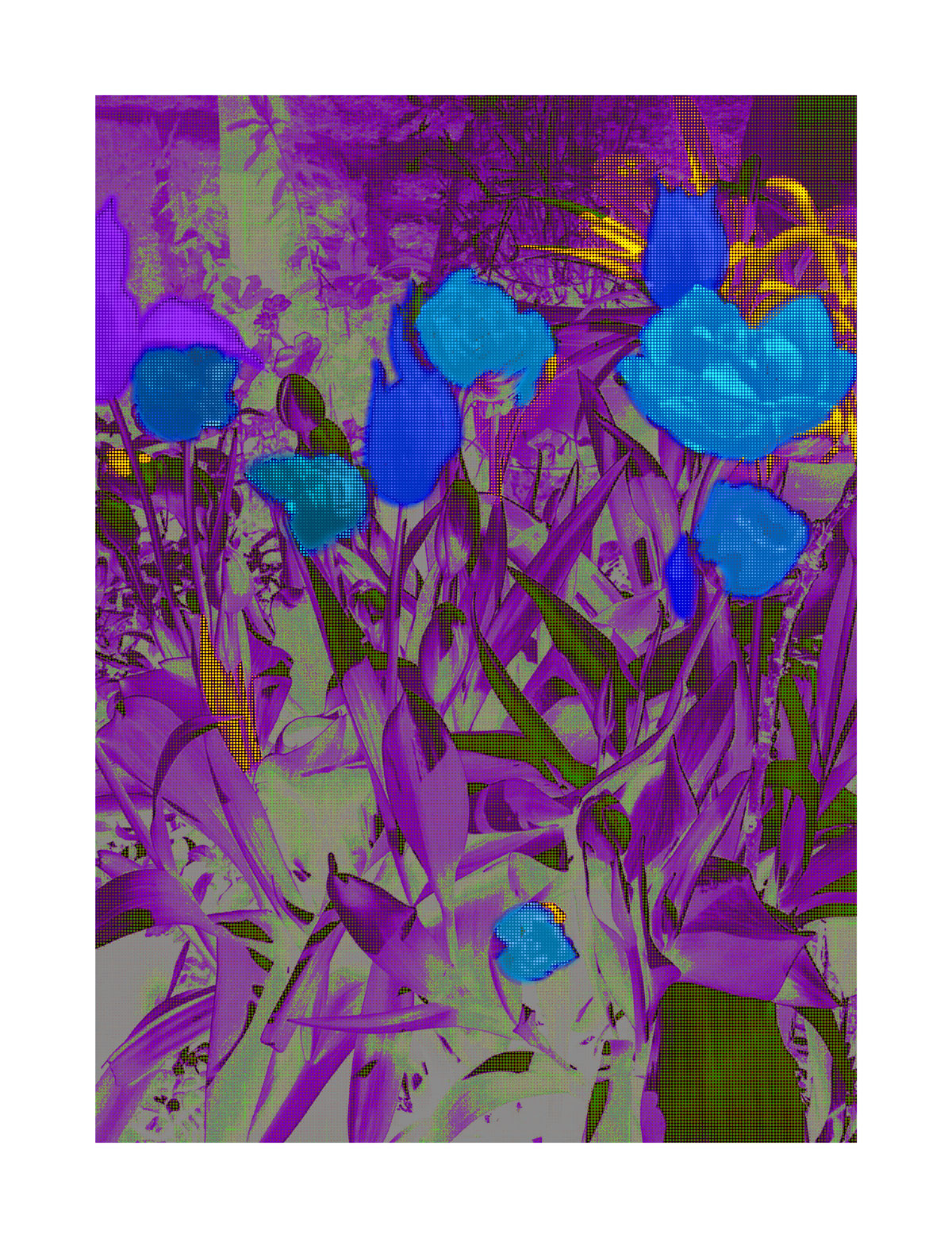 BUNCH 4