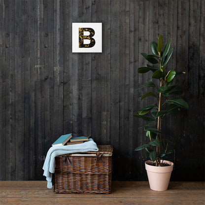 'BLACK B'  Canvas